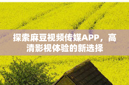 探索麻豆视频传媒APP图片