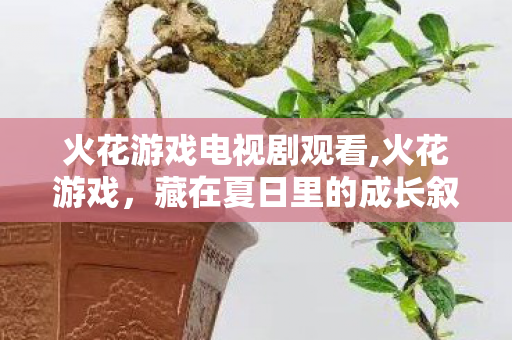 火花游戏电视剧观看,火花游戏,藏在夏日里的成长叙事,让旧时光仍闪着温热微光 火花游戏电视剧观看,火花游戏,藏在夏日里的成长叙事,让旧时光仍闪着温热微光