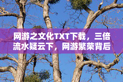 网游之文化TXT下载,三倍流水疑云下,网游繁荣背后竟藏着让玩家集体心寒的真相 网游之文化TXT下载,三倍流水疑云下,网游繁荣背后竟藏着让玩家集体心寒的真相