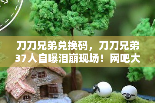 刀刀兄弟兑换码，刀刀兄弟37人自曝泪崩现场！网吧大神竟因这操作集体绷不住？