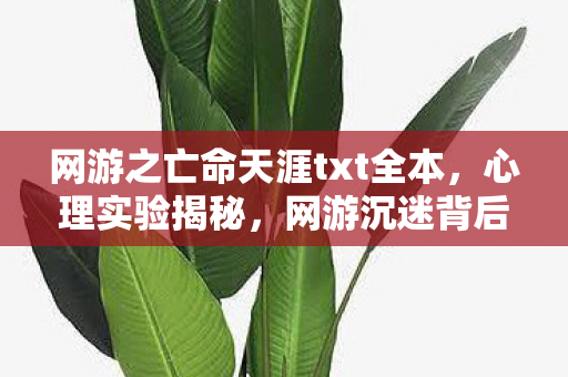 网游之亡命天涯txt全本,心理实验揭秘,网游沉迷背后的多巴胺陷阱,细思极恐! 网游之亡命天涯txt全本,心理实验揭秘,网游沉迷背后的多巴胺陷阱,细思极恐!