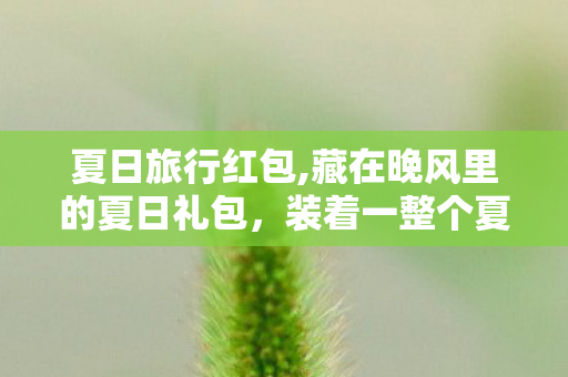 夏日旅行红包,藏在晚风里的夏日礼包，装着一整个夏天的鲜活浪漫