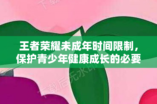 保护青少年健康成长的必要措施图片