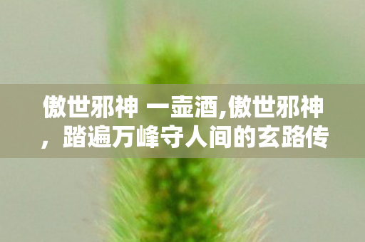 傲世邪神 一壶酒,傲世邪神,踏遍万峰守人间的玄路传奇 傲世邪神 一壶酒,傲世邪神,踏遍万峰守人间的玄路传奇