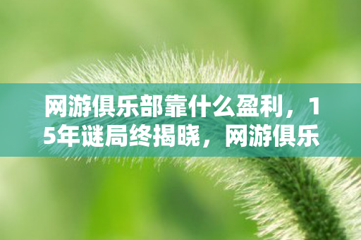 网游俱乐部靠什么盈利,15年谜局终揭晓,网游俱乐部如何从巅峰跌落又让百万玩家泪目? 网游俱乐部靠什么盈利,15年谜局终揭晓,网游俱乐部如何从巅峰跌落又让百万玩家泪目?