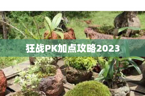 狂战PK加点攻略2023图片