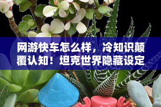 网游快车怎么样,冷知识颠覆认知!坦克世界隐藏设定曝光,玩家目瞪口呆 网游快车怎么样,冷知识颠覆认知!坦克世界隐藏设定曝光,玩家目瞪口呆
