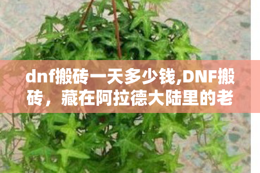 dnf搬砖一天多少钱,DNF搬砖，藏在阿拉德大陆里的老玩家日常小确幸