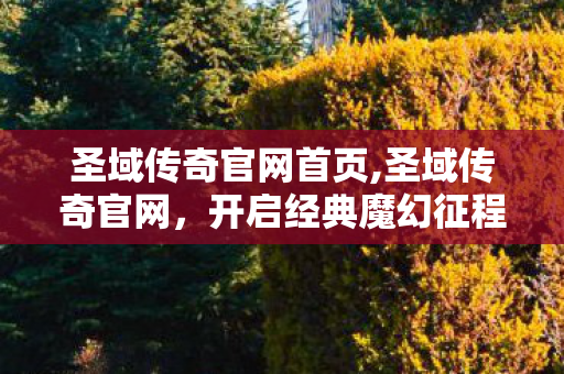圣域传奇官网首页,圣域传奇官网,开启经典魔幻征程的专属入口 圣域传奇官网首页,圣域传奇官网,开启经典魔幻征程的专属入口