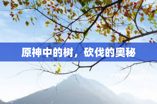 原神中的树图片