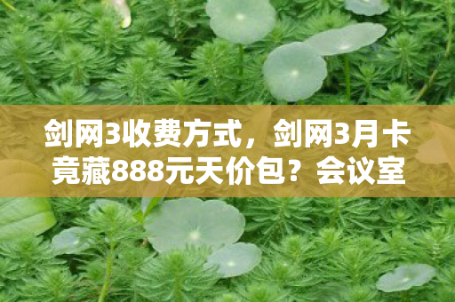 剑网3收费方式,剑网3月卡竟藏888元天价包?会议室争吵内幕曝光,真相让人吓一跳! 剑网3收费方式,剑网3月卡竟藏888元天价包?会议室争吵内幕曝光,真相让人吓一跳!