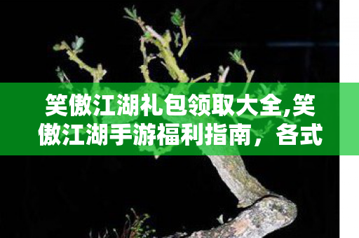 笑傲江湖礼包领取大全,笑傲江湖手游福利指南,各式礼包伴你快意闯江湖 笑傲江湖礼包领取大全,笑傲江湖手游福利指南,各式礼包伴你快意闯江湖