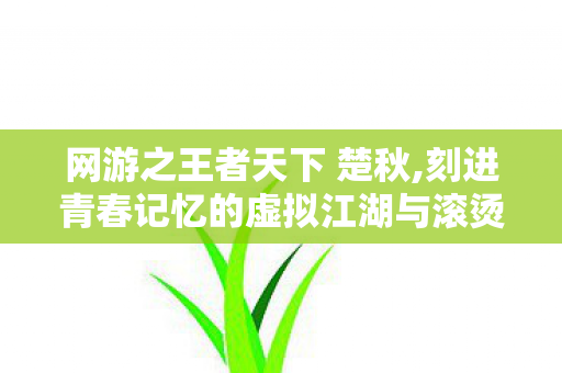 网游之王者天下 楚秋,刻进青春记忆的虚拟江湖与滚烫热血 网游之王者天下 楚秋,刻进青春记忆的虚拟江湖与滚烫热血