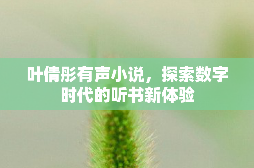 探索数字时代的听书新体验图片