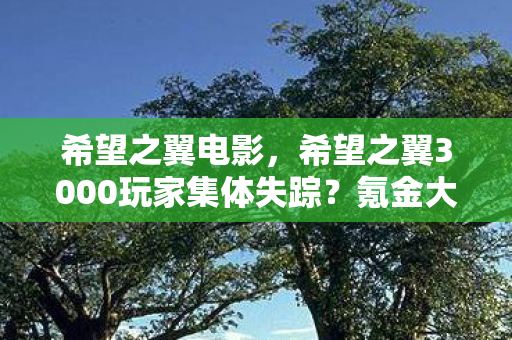 希望之翼电影,希望之翼3000玩家集体失踪?氪金大佬与零氪肝帝的终极破防现场 希望之翼电影,希望之翼3000玩家集体失踪?氪金大佬与零氪肝帝的终极破防现场