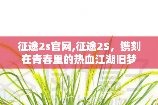征途2s官网,征途2S,镌刻在青春里的热血江湖旧梦 征途2s官网,征途2S,镌刻在青春里的热血江湖旧梦