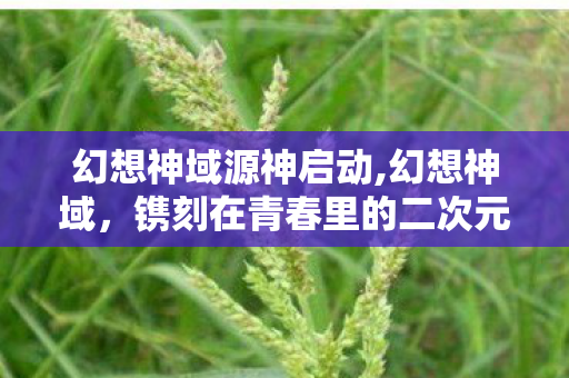 幻想神域源神启动,幻想神域，镌刻在青春里的二次元冒险诗