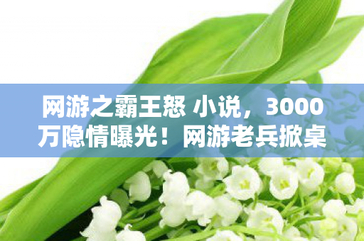 网游之霸王怒 小说,3000万隐情曝光!网游老兵掀桌怒吼,这方案早该枪毙,吓一跳的真相来了 网游之霸王怒 小说,3000万隐情曝光!网游老兵掀桌怒吼,这方案早该枪毙,吓一跳的真相来了