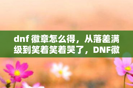 dnf 徽章怎么得,从落差满级到笑着笑着哭了,DNF徽章真相竟让我破防 dnf 徽章怎么得,从落差满级到笑着笑着哭了,DNF徽章真相竟让我破防