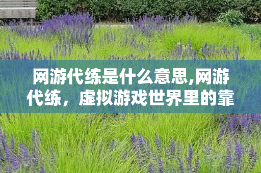 网游代练是什么意思,网游代练，虚拟游戏世界里的靠谱同行者
