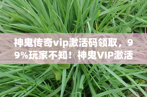 神鬼传奇vip激活码领取,99%玩家不知!神鬼VIP激活码暗藏3大数值黑洞,策划打死不说的真相 神鬼传奇vip激活码领取,99%玩家不知!神鬼VIP激活码暗藏3大数值黑洞,策划打死不说的真相