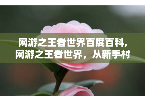 网游之王者世界百度百科,网游之王者世界，从新手村到荣耀之巅的滚烫征程