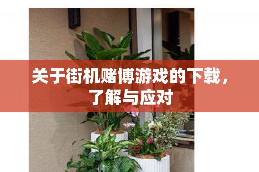 关于街机赌博游戏的下载图片