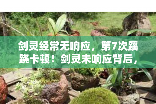 剑灵经常无响应,第7次蹊跷卡顿!剑灵未响应背后,竟藏着让我后背发凉的真相 剑灵经常无响应,第7次蹊跷卡顿!剑灵未响应背后,竟藏着让我后背发凉的真相