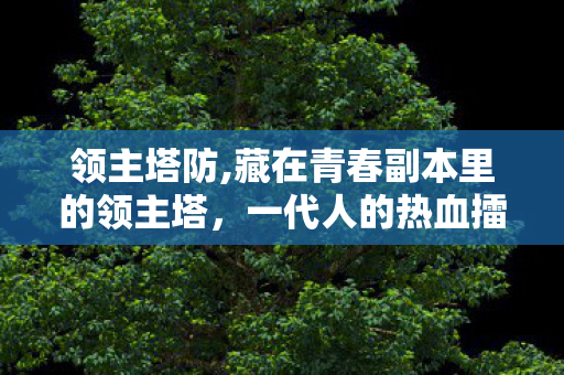 领主塔防,藏在青春副本里的领主塔,一代人的热血擂台记忆 领主塔防,藏在青春副本里的领主塔,一代人的热血擂台记忆