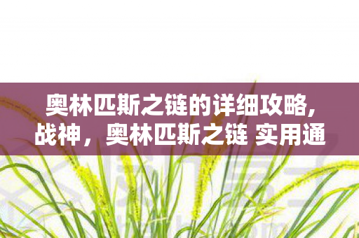 奥林匹斯之链的详细攻略,战神,奥林匹斯之链 实用通关全指南 奥林匹斯之链的详细攻略,战神,奥林匹斯之链 实用通关全指南