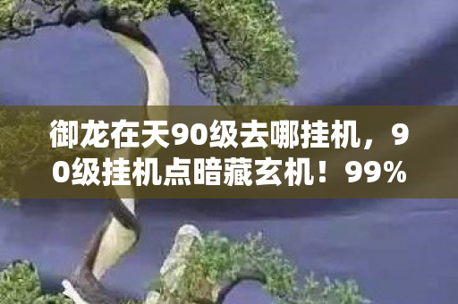 御龙在天90级去哪挂机，90级挂机点暗藏玄机！99%玩家不知的暴富密码竟在这
