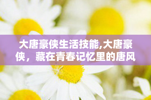 大唐豪侠生活技能,大唐豪侠，藏在青春记忆里的唐风旧梦