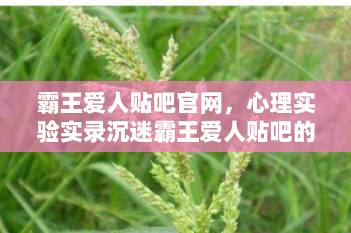 霸王爱人贴吧官网，心理实验实录沉迷霸王爱人贴吧的细思极恐，你的大脑正在被驯化