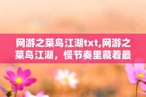 网游之菜鸟江湖txt,网游之菜鸟江湖，慢节奏里藏着最暖的武侠日常