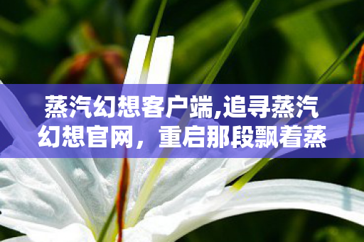 蒸汽幻想客户端,追寻蒸汽幻想官网,重启那段飘着蒸汽与魔法的冒险旧梦 蒸汽幻想客户端,追寻蒸汽幻想官网,重启那段飘着蒸汽与魔法的冒险旧梦