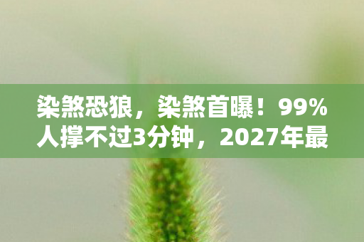 染煞恐狼,染煞首曝!99%人撑不过3分钟,2027年最疯体验竟藏着生死局? 染煞恐狼,染煞首曝!99%人撑不过3分钟,2027年最疯体验竟藏着生死局?