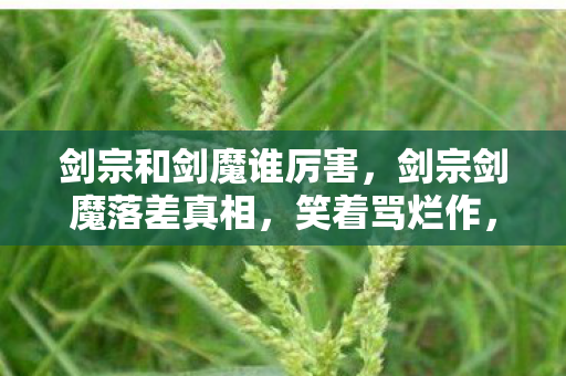 剑宗和剑魔谁厉害，剑宗剑魔落差真相，笑着骂烂作，笑着笑着却哭了