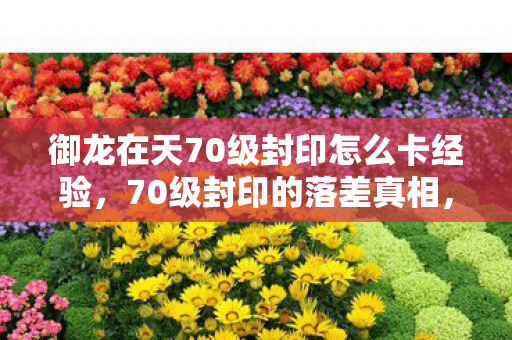御龙在天70级封印怎么卡经验，70级封印的落差真相，笑着骂它坑钱，笑着笑着就哭了