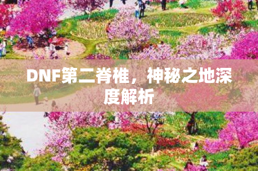神秘之地深度解析图片