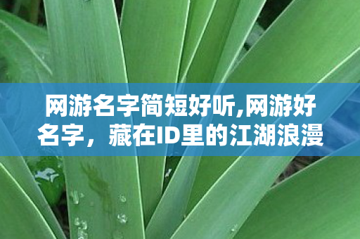 网游名字简短好听,网游好名字,藏在ID里的江湖浪漫与个性小世界 网游名字简短好听,网游好名字,藏在ID里的江湖浪漫与个性小世界