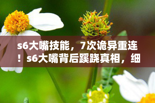 s6大嘴技能,7次诡异重连!s6大嘴背后蹊跷真相,细思后背发凉 s6大嘴技能,7次诡异重连!s6大嘴背后蹊跷真相,细思后背发凉
