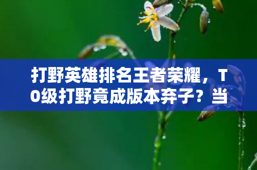 打野英雄排名王者荣耀，T0级打野竟成版本弃子？当存在主义危机撞碎胜率神话