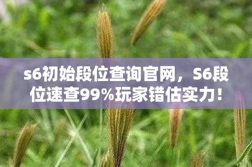 s6初始段位查询官网,S6段位速查99%玩家错估实力!3秒自测开局段位,你的隐藏分够冲王者吗? s6初始段位查询官网,S6段位速查99%玩家错估实力!3秒自测开局段位,你的隐藏分够冲王者吗?