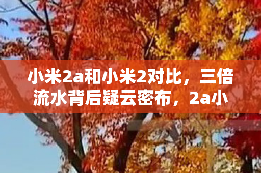 小米2a和小米2对比,三倍流水背后疑云密布,2a小米的繁荣为何让玩家集体心寒? 小米2a和小米2对比,三倍流水背后疑云密布,2a小米的繁荣为何让玩家集体心寒?