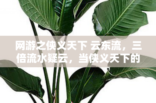 网游之侠义天下 云东流，三倍流水疑云，当侠义天下的江湖盛景，撕开资本心寒真相