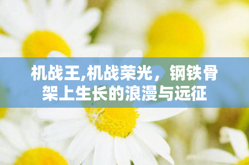 机战王,机战荣光,钢铁骨架上生长的浪漫与远征 机战王,机战荣光,钢铁骨架上生长的浪漫与远征