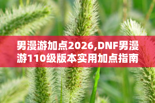 男漫游加点2026,DNF男漫游110级版本实用加点指南 兼顾帅感与实战输出
