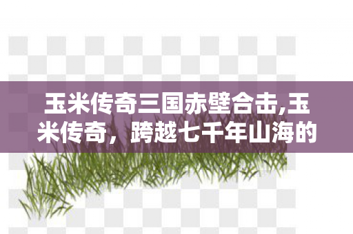 玉米传奇三国赤壁合击,玉米传奇,跨越七千年山海的谷穗史诗 玉米传奇三国赤壁合击,玉米传奇,跨越七千年山海的谷穗史诗