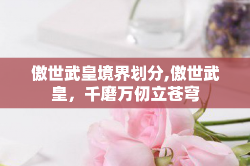 傲世武皇境界划分,傲世武皇,千磨万仞立苍穹 傲世武皇境界划分,傲世武皇,千磨万仞立苍穹