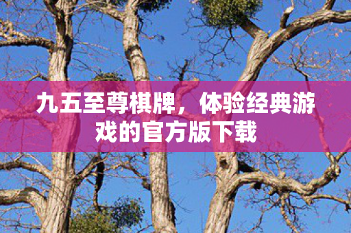 体验经典游戏的官方版下载图片